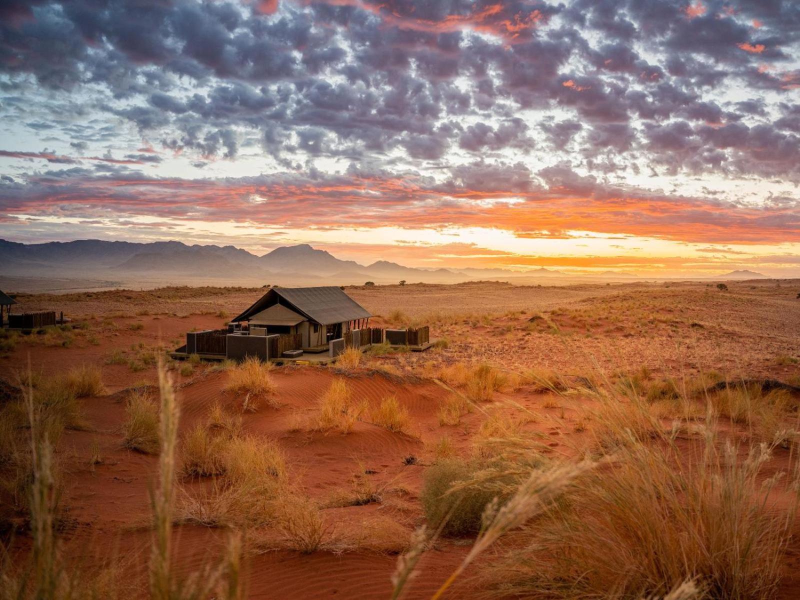 Wolwedans Dune Camp NamibRand Ngoại thất bức ảnh